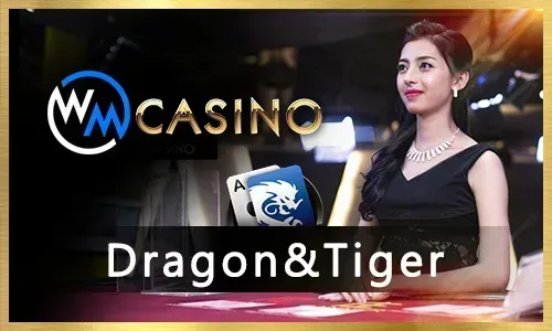 Bingo Plus Jackpot